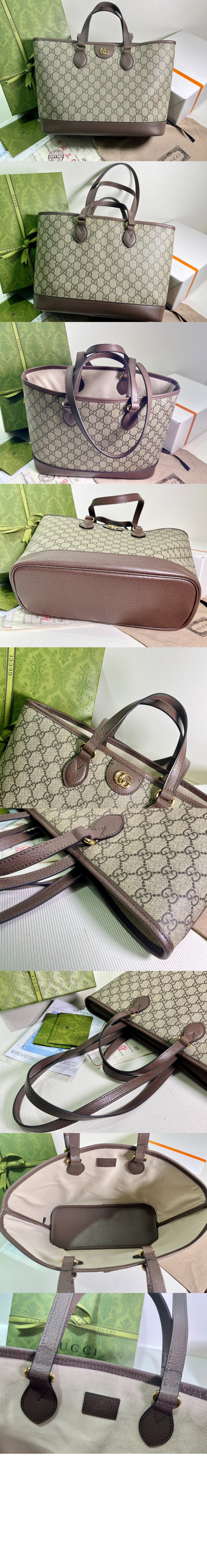 오피디아 GG 미니 토트백 765043 > Ophidia - 오피디아