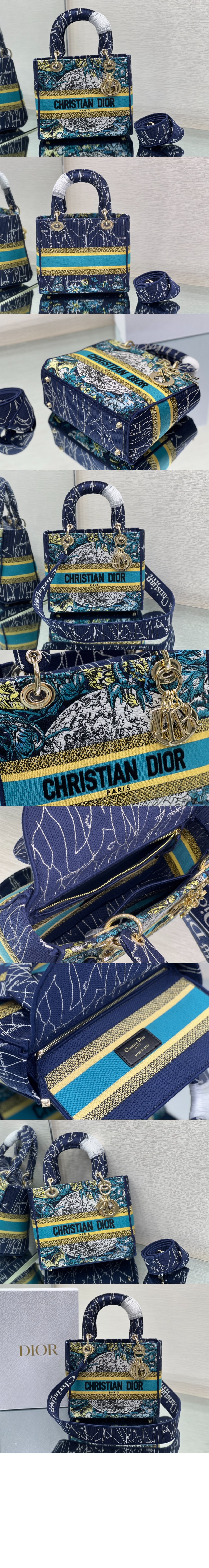 레이디백 디라이트 미듐 M0565 > Lady - 레이디