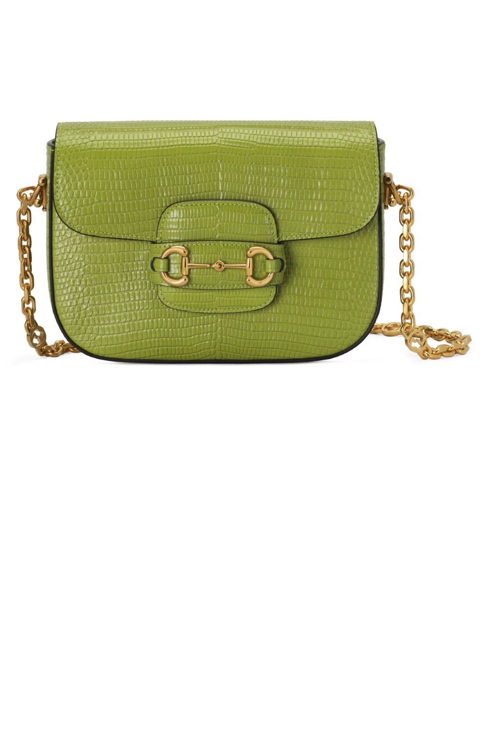 리저드 미니백 675801 > Etc - 기타제품