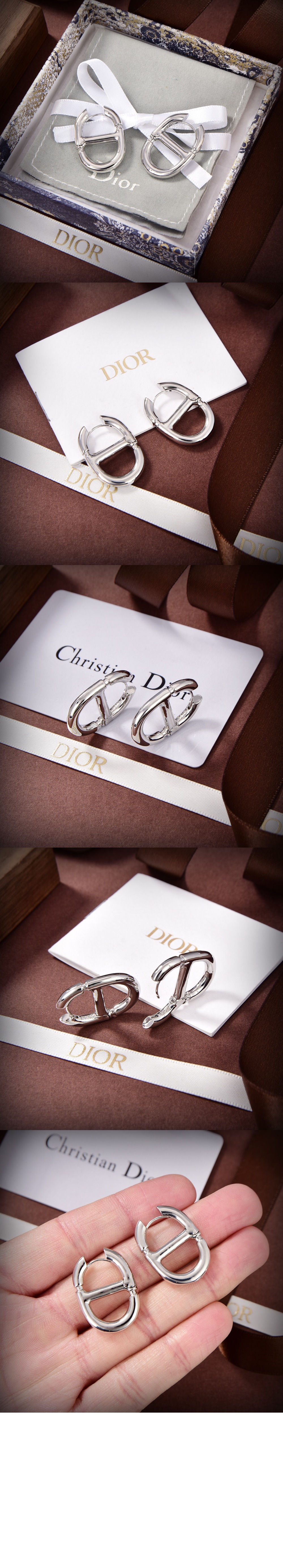 Dior CD Navy 귀걸이 E2113 > 디올