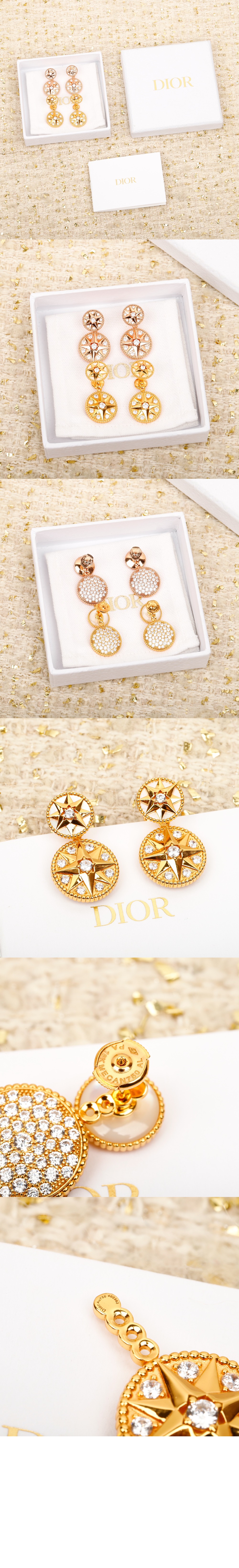 Rose des Vents 귀걸이 JRDV9 > 디올