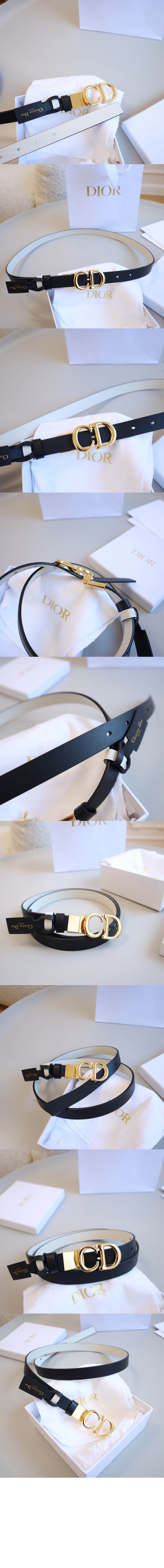 Saddle 리버서블 벨트 B0335 > 디올