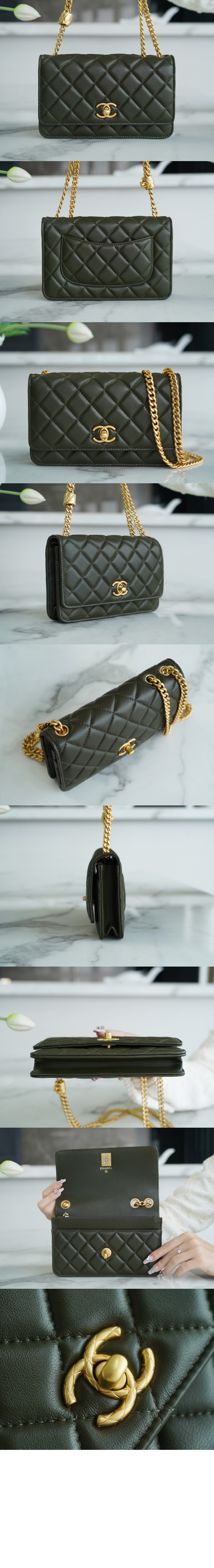 체인 WOC AP3043 > Woc - 월렛온더체인