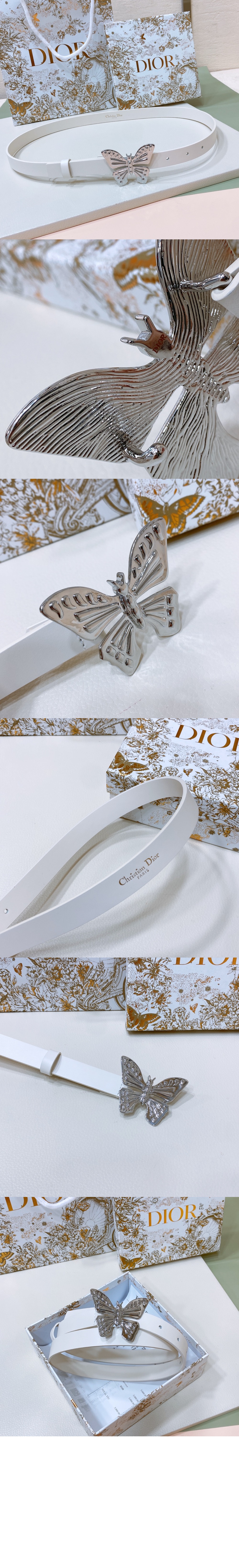 디올 메타모르포스 벨트 B0465 > 디올