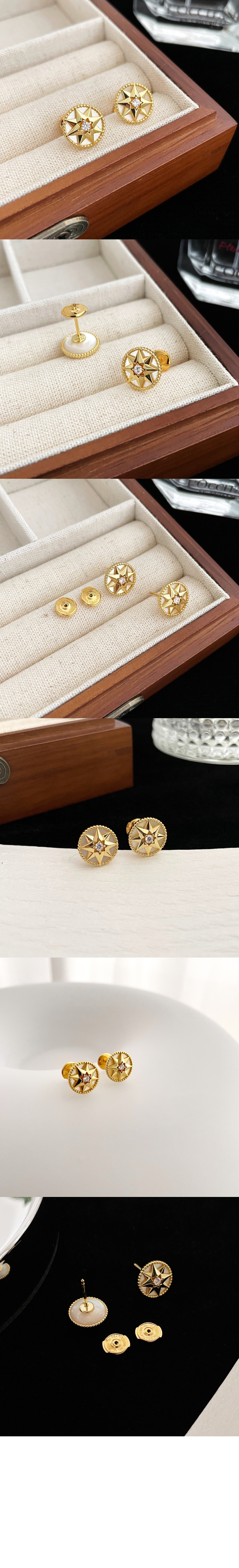 Rose des Vents 스몰 귀걸이 JRDV9 > 디올