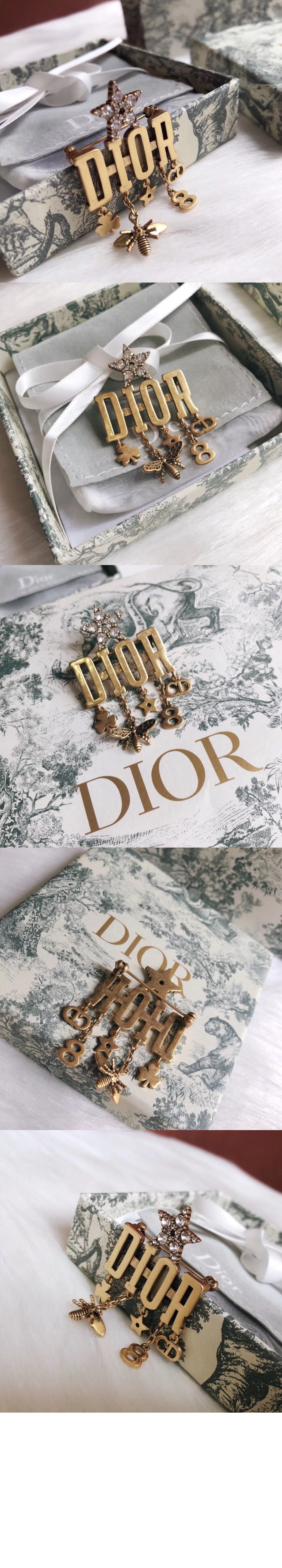 Dio(r)evolution 브로치 V0302 > 디올