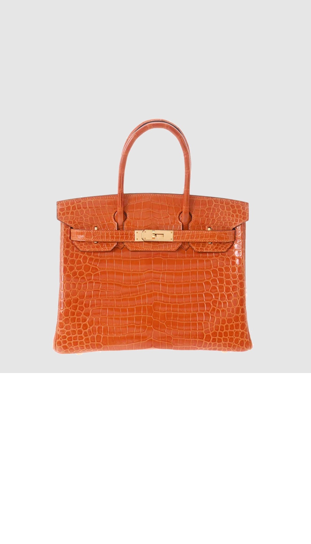 버킨백 크로커 > Birkin - 버킨