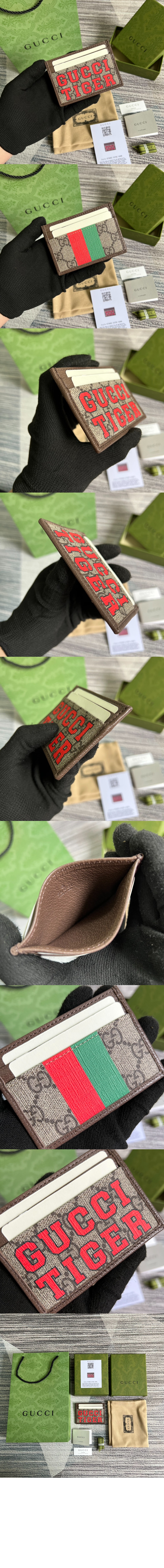 타이거 카드지갑 673002 > Ophidia - 오피디아