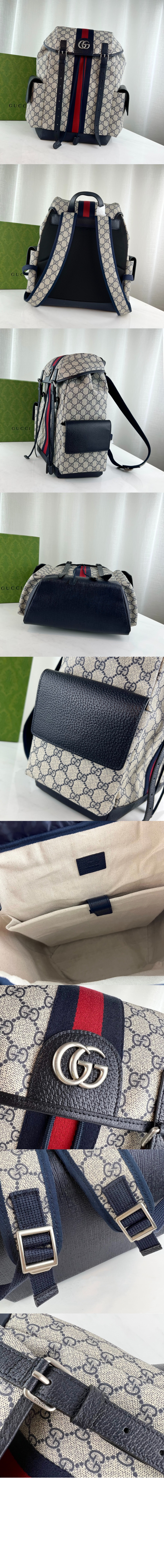 오피디아 GG 미듐 백팩 598140 > Ophidia - 오피디아