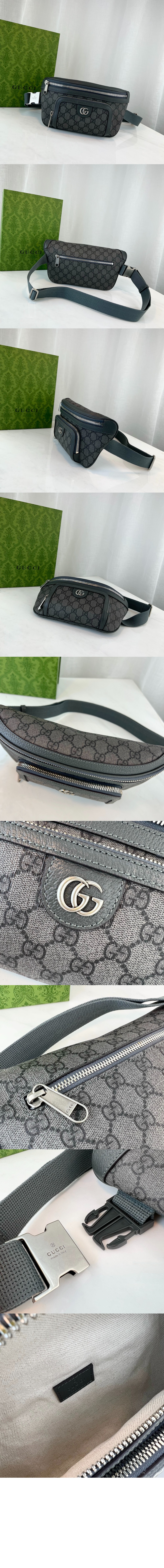 오피디아 벨트백 733868 > Ophidia - 오피디아