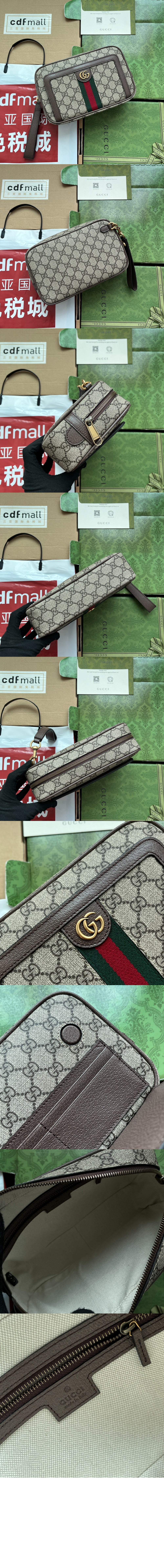 오피디아 GG 파우치 760245 > Ophidia - 오피디아