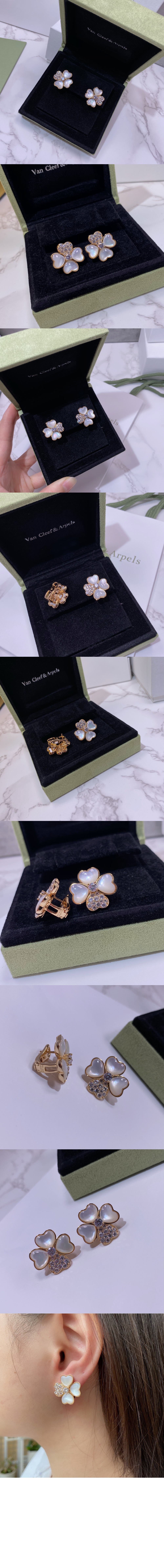 코스모스 귀걸이 미듐 5BZ00 > Etc - 기타제품