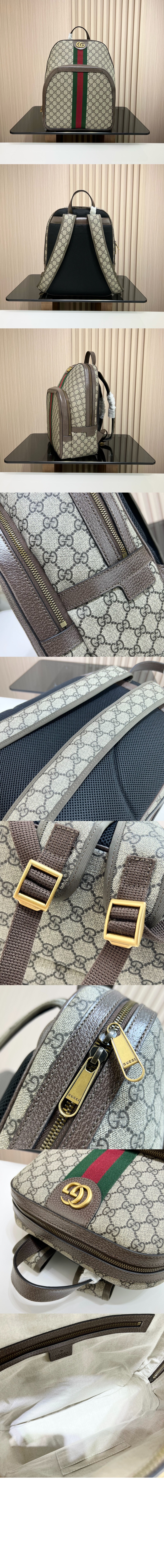 오피디아 GG 미듐 백팩 547967 > Ophidia - 오피디아