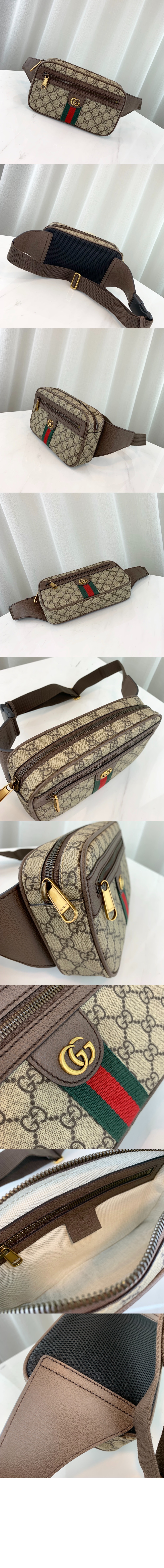 오피디아 GG 벨트백 574796 > Ophidia - 오피디아