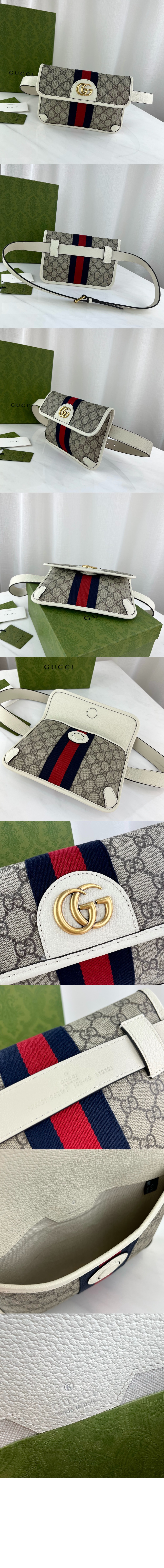 오피디아 GG 벨트백 674081 > Ophidia - 오피디아