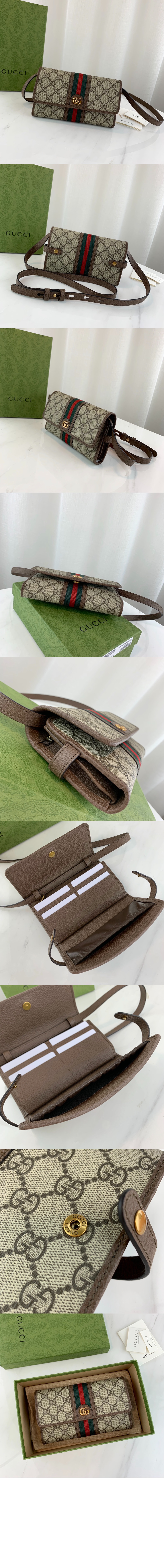 오피디아 GG 미니백 645082 > Ophidia - 오피디아