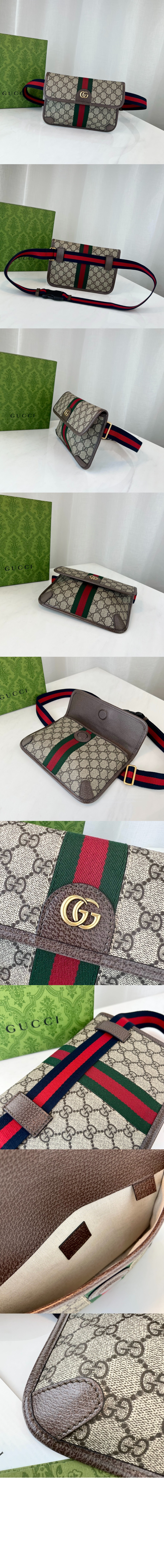 오피디아 GG 스몰 벨트백 752597 > Ophidia - 오피디아