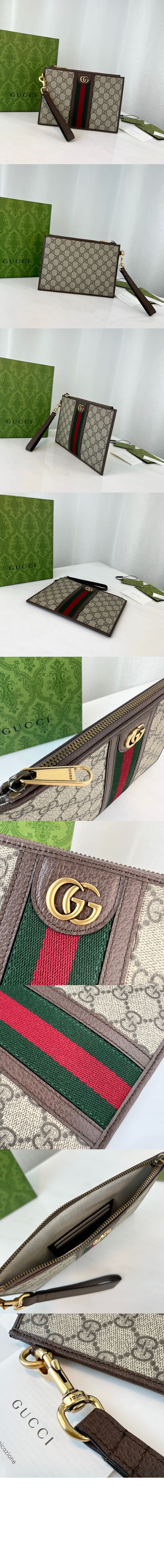 오피디아 웹 클러치 672989 > Ophidia - 오피디아