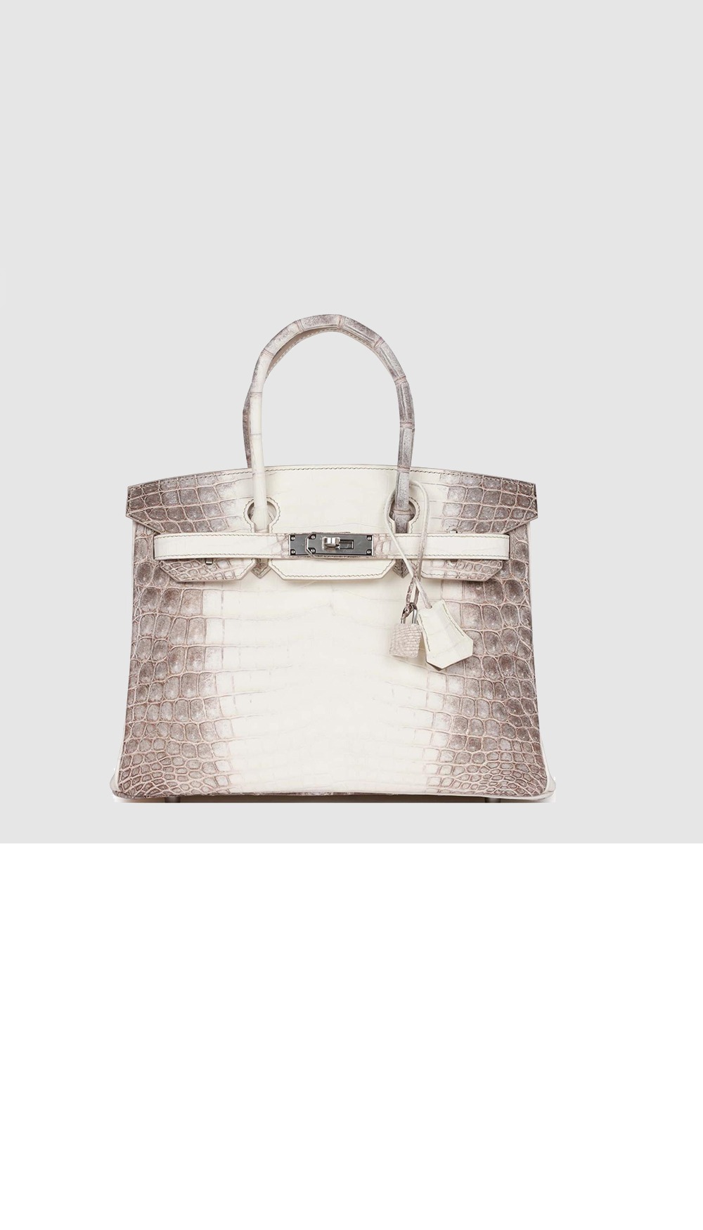 버킨백 크로커 > Birkin - 버킨