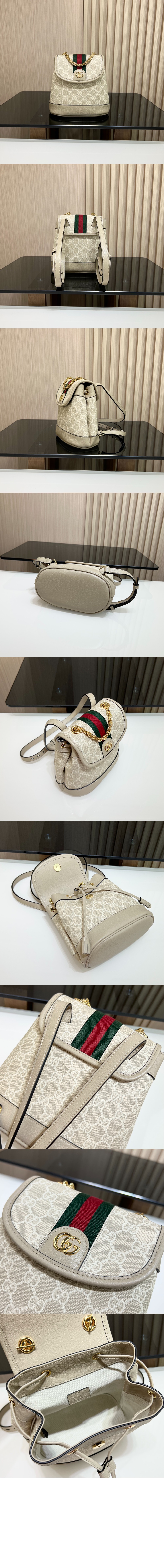 미니 백팩 795221 > Ophidia - 오피디아