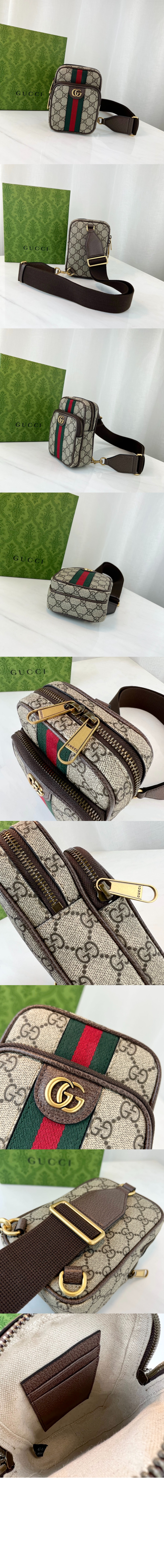 오피디아 GG 미니백 752565 > Ophidia - 오피디아