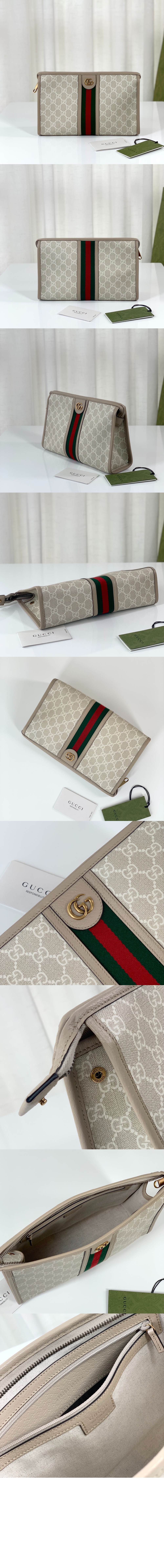 오피디아 GG 코스메틱 클러치 598234 > Ophidia - 오피디아