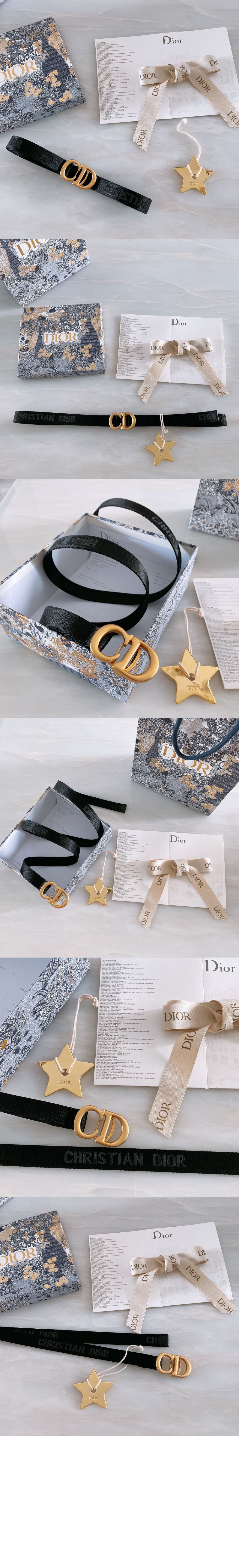 Saddle 벨트 B0040 > 디올