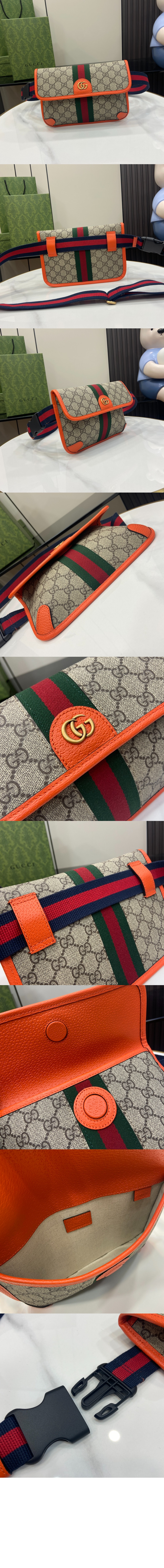 오피디아 GG 스몰 벨트백 752597 > Ophidia - 오피디아