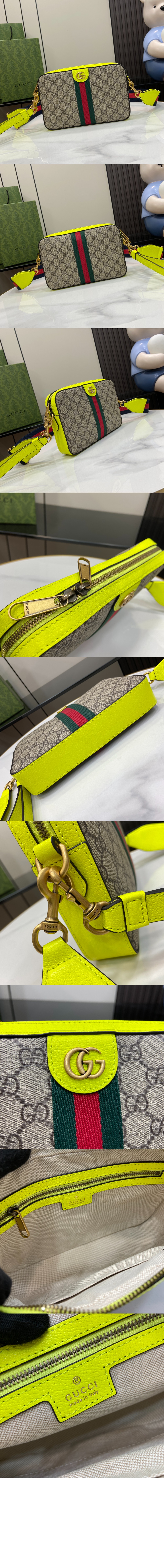 오피디아 GG 숄더백 699439 > Ophidia - 오피디아