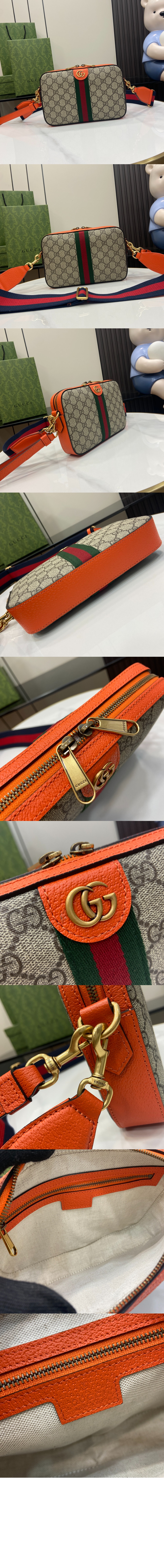 오피디아 GG 숄더백 699439 > Ophidia - 오피디아