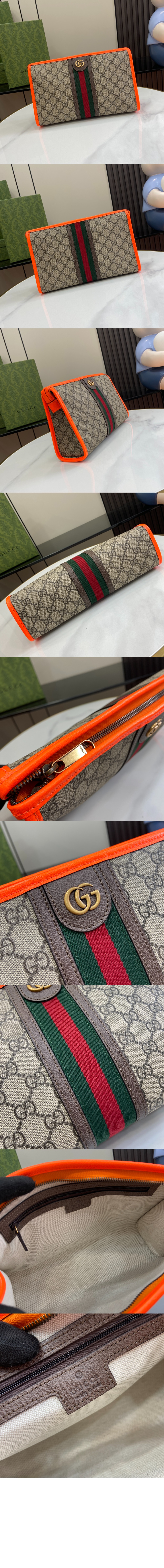 오피디아 GG 코스메틱 클러치 598234 > Ophidia - 오피디아