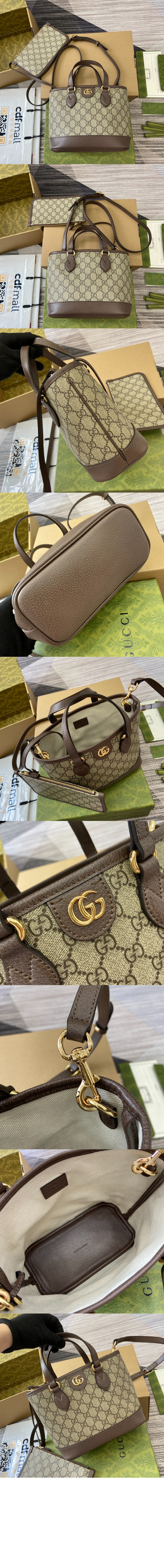 오피디아 미니 토트백 811716 > Ophidia - 오피디아