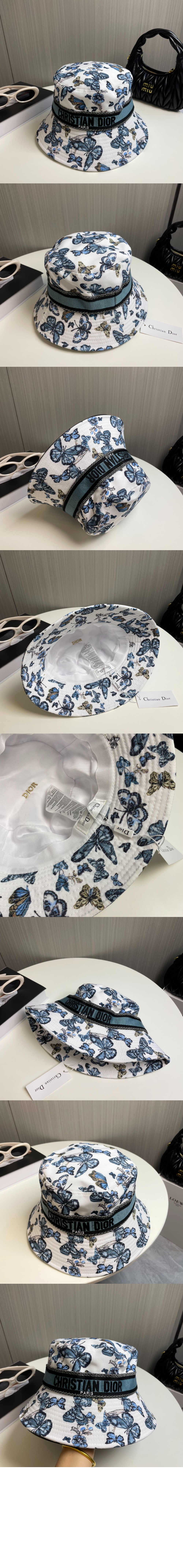 벙거지 66UPS > 디올