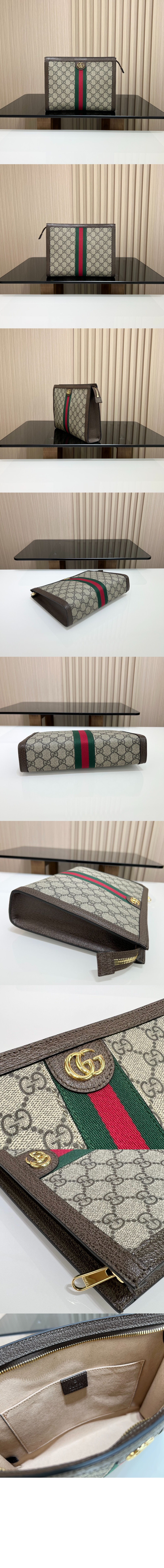 오피디아 GG 클러치 625549 > Ophidia - 오피디아