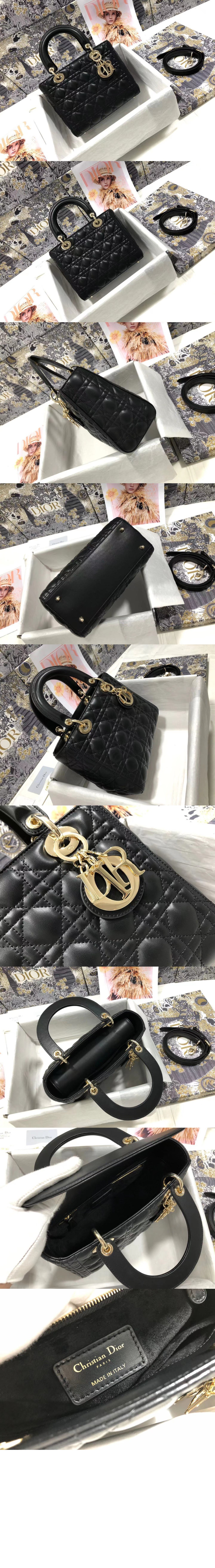 레이디백 디라이트 미듐 M0565 > Lady - 레이디