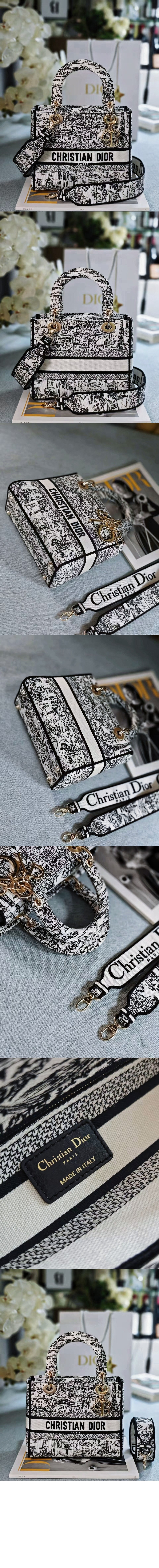 레이디백 디라이트 미듐 M0565 > Lady - 레이디