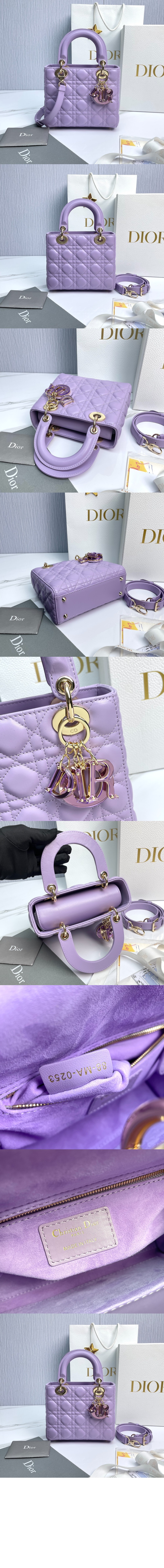 레이디백 램스킨 스몰 M0531 > Lady - 레이디