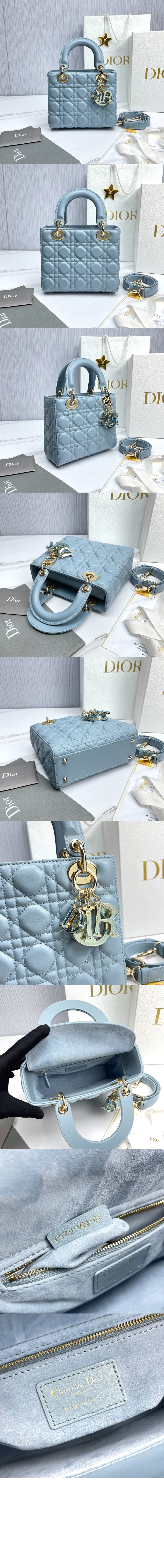 레이디백 램스킨 스몰 M0531 > Lady - 레이디