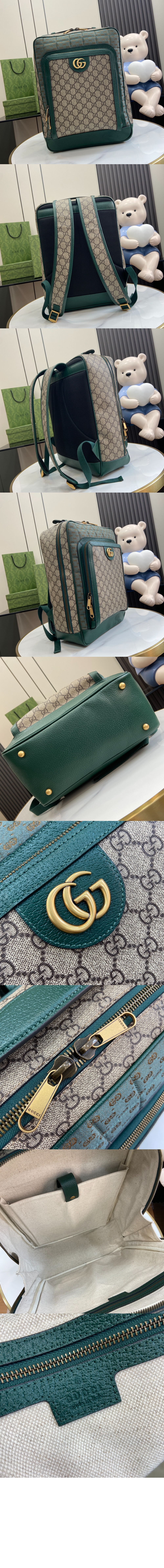 오피디아 GG 미듐 백팩 745718 > Ophidia - 오피디아