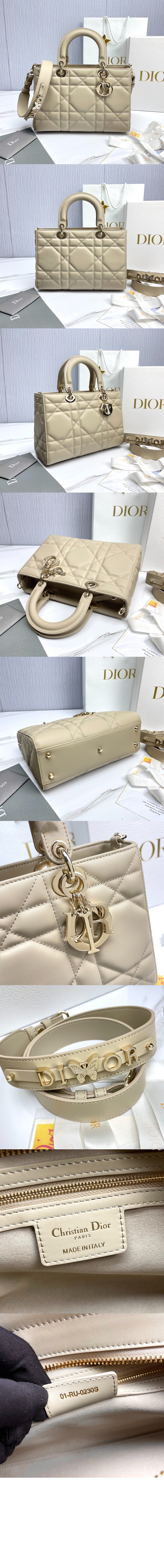 디자이어 레이디백 ABC M1151 > Lady - 레이디