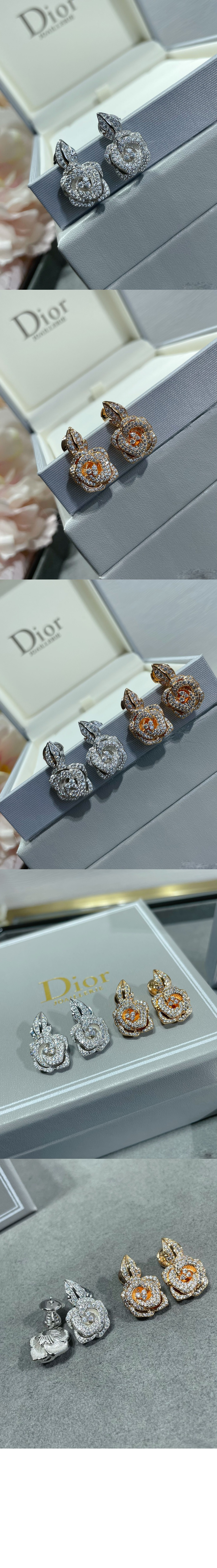 로즈 바가텔 귀걸이 JBAG9 > 디올