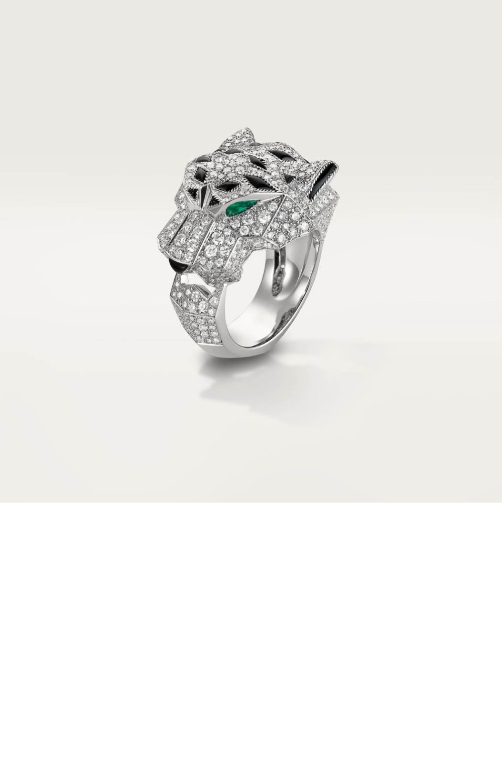 팬더 드 반지 N4211000 > Etc - 기타제품