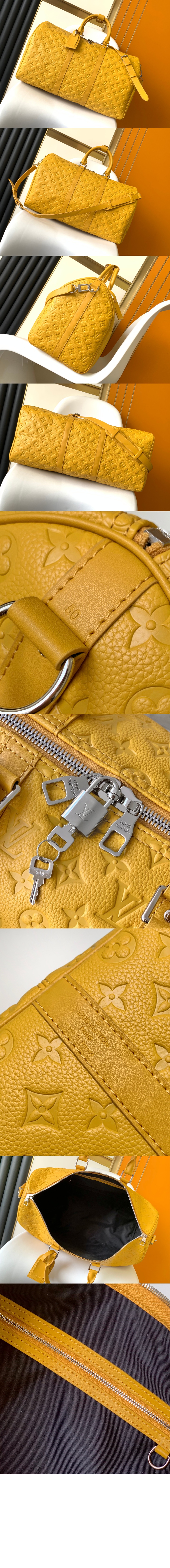 키폴 반둘리에 50 M23749 > Keepall - 키폴