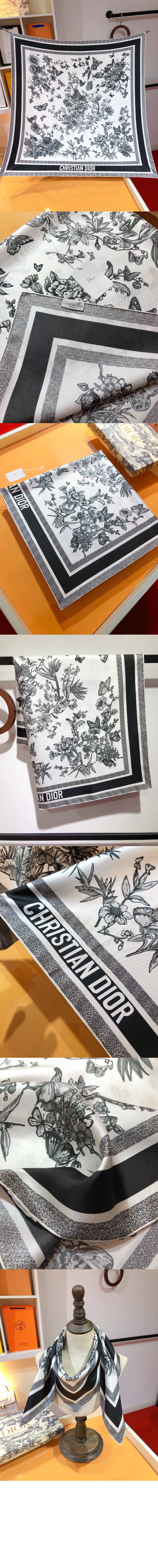 Christian Dior  41BUT > 디올