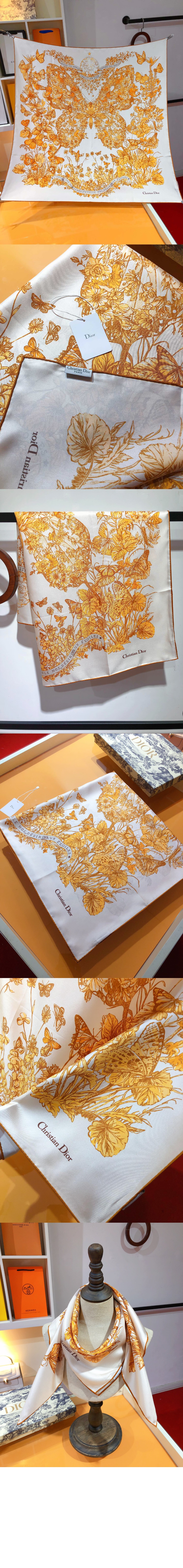 Butterfly Around the World 41PAW > 디올