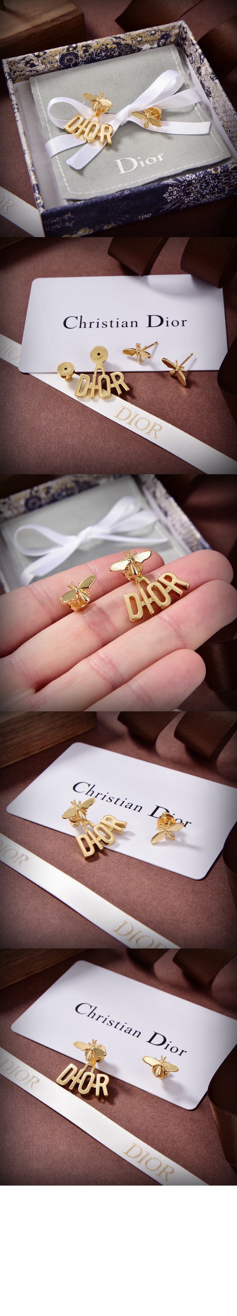 evolution 귀걸이 E2013 > 디올