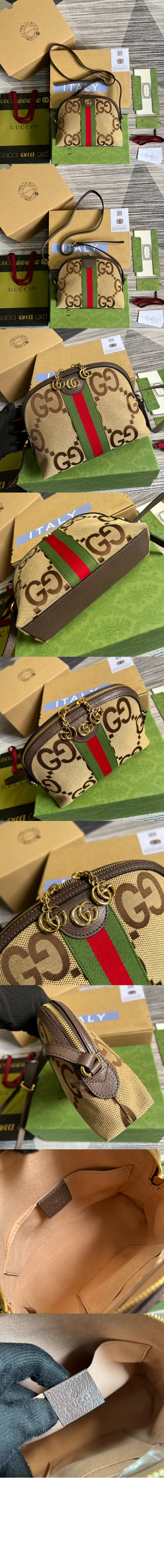 오피디아 스몰 숄더백 499621 > Ophidia - 오피디아