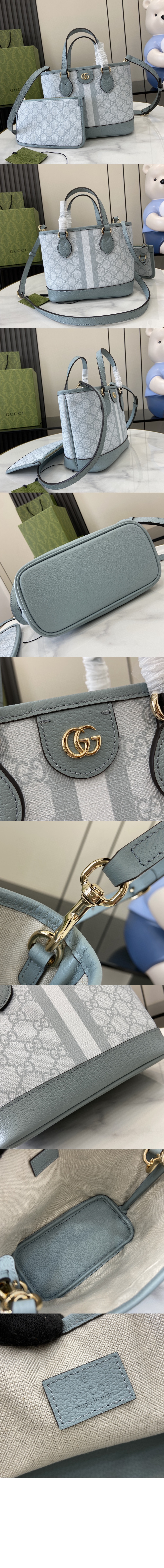 오피디아 미니 토트백 811716 > Ophidia - 오피디아