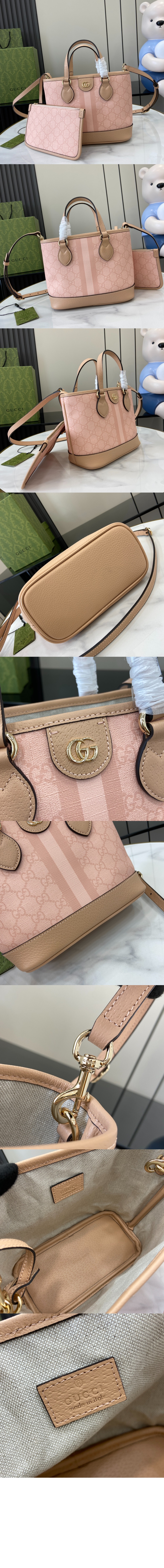 오피디아 미니 토트백 811716 > Ophidia - 오피디아