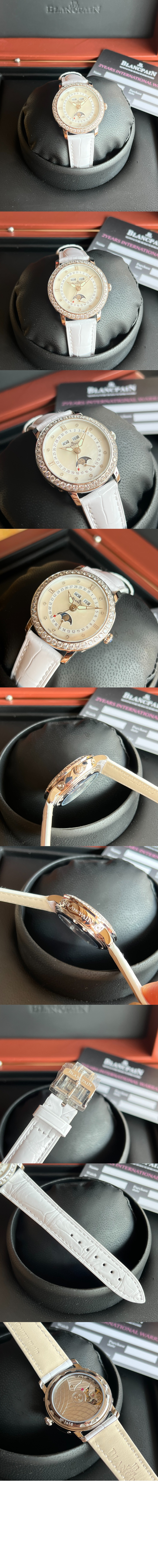 레이디버드 35 > Ladybird - 레이디버드